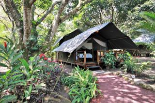 Expediciones Mexico Verde - 8