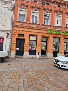 Fókusz Apartman Pécs - Pécs - 9