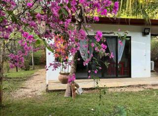Finca Panama Tropical Villa and Guest Home Pool and Lush Garden - Santa Cruz - 5