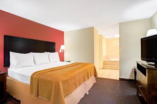 Hotel South Tampa & Suites - 1