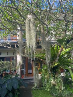 Suryadina Guest House - Ubud - 2