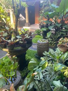 Suryadina Guest House - Ubud - 4