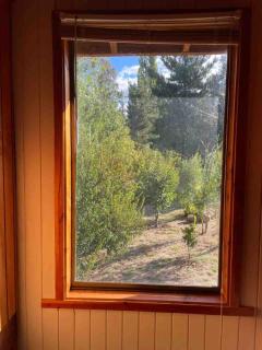 Cheerful Santa Juana Cabin - 9