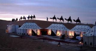Merzougasaharacamp - Merzouga - 0