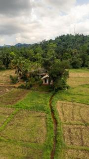 Forest & Fields Sinharaja - Deniyaya - 9