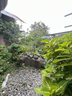 Lovely Bamboo Garden - Alto Boquete - 8