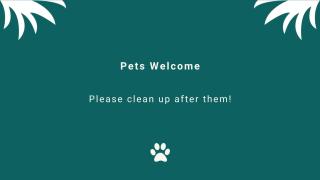 Pippis a Classic Beach House - 3