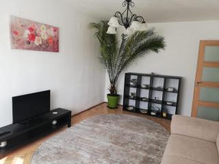 Apartament Dodo - Cluj-Napoca - 8