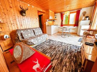 Chalet 16 pers, 4km des pistes, Wifi, Parking - FR-1-498-39 - Bernex - 4