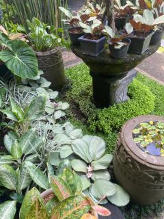 Suryadina Guest House - Ubud - 7