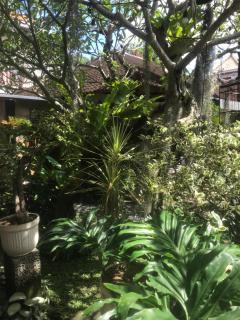 GUS ARDITYA HOMESTAY - Ubud - 9