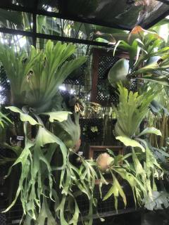 GUS ARDITYA HOMESTAY - Ubud - 4