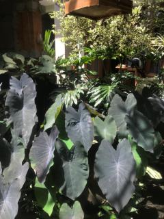 GUS ARDITYA HOMESTAY - Ubud - 3