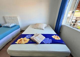 Reinhold Beach House - 650m Praia - Penha - 4