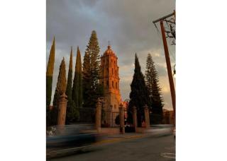 Entre Cantera y Cactus - San Luis Potosí - 3