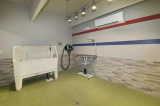 Resort Style Apartments in Spring, TX - 5