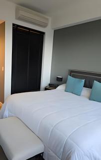 Luxury Loft al Rio SPA Terraza Parrilla Lavarropas - Buenos Aires - 6