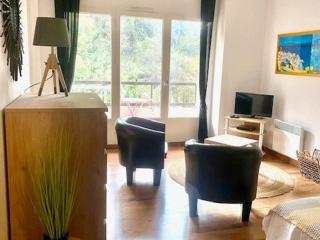 Charmant studio 3* avec balcon et wifi proche des thermes - FR-1-703-210 - Amélie-les-Bains-Palalda - 4