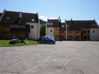 Appartement cosy à Autrans, animaux admis, parking, 4 pers - FR-1-737-94 - Autrans - 4