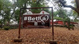 Palamau Tiger Reserve Eco Habitat - - 3