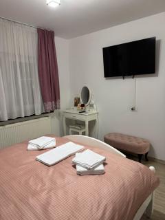 Apartament Brazdă - Craiova - 9