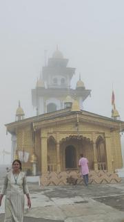 Lamyali Farm - Rishikesh - 1