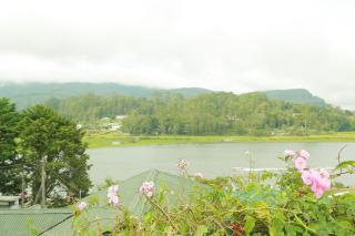 Gregory Lake View Bungalow - Nuwara Eliya - 6