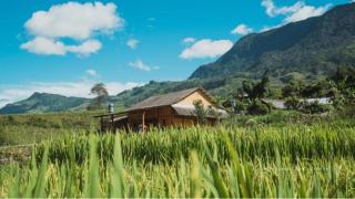 Cha Ta Homestay & Trekking Tour Sa Pa - Sapa - 5