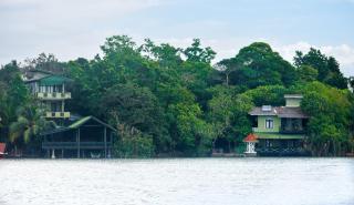 Madu Ganga Villa - Balapitiya - 1