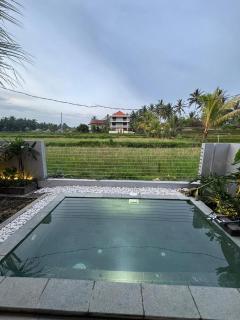 Putih DCarik Ubud - Ubud - 5