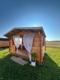 Kalnrozes pirts - - 2