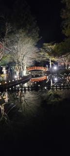 Ichimaru Ryokan - Vacation STAY 77709v - Tenkawa - 3