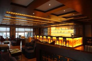 The P L Palace Agra - Agra - 7