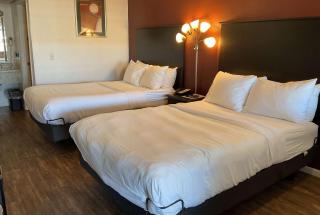 Baymont by Wyndham Petoskey - Petoskey - 7