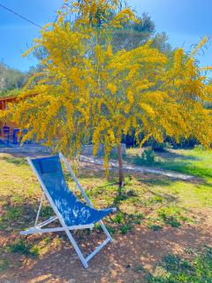 Eudaimonia Wooden Suites Nafplio Kandia - Kandia - 2