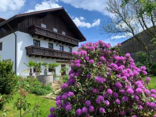 Habicht Ferienhaus - Arnbruck - 5