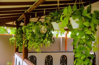 Evergreen Cottage - Mirissa - 8