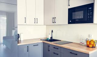 Krynica Apartamenty Apartament 6 osobowy z jedną sypialnią i parkingiem Cicha 12 - Krynica Zdrój - 5