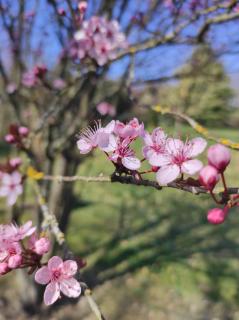 Chambre d'hôtes de l'Estrée - 9