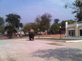 Dabchick Tourist Resort - 3