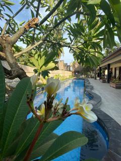 Sama Sama Bungalows - Gili Trawangan - 9