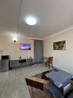Rokans Premium Apartment - Kitukutwe - 6