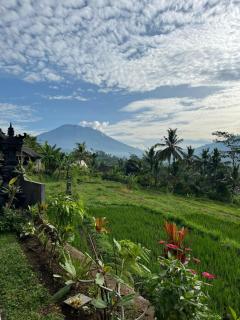 Sarwhe Nadi Homestay - Sidemen - 7