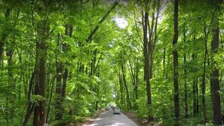 ClausStudio Greenfield Baneasa - 6