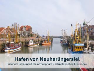 Stedesdorf, Ferienwohnung '9 und 40' - Stedesdorf - 3