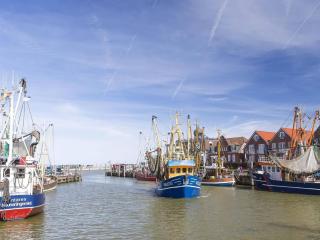 Stedesdorf, Ferienwohnung 'Nordsee-Wattwurm' - Stedesdorf - 3