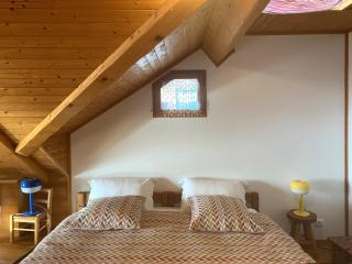 Duplex Coeur de ville - Annecy - 9