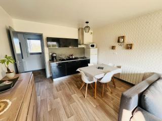 Très bel appartement proche de la mer - Plestin-les-Grèves - 7