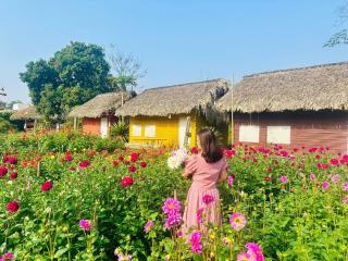 Lương Sơn Ecolodge - Bản Gùm - 0