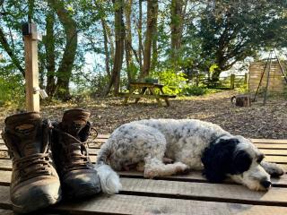 Woodland Cabin Retreat in Alfriston - hot tub - Alfriston - 6